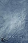 صورة ملصق Arctic