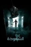صورة ملصق 