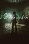 صورة ملصق Frankenstein